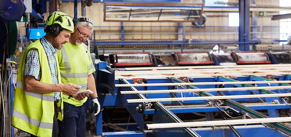 Gällö sawmill is sawing contorta pine