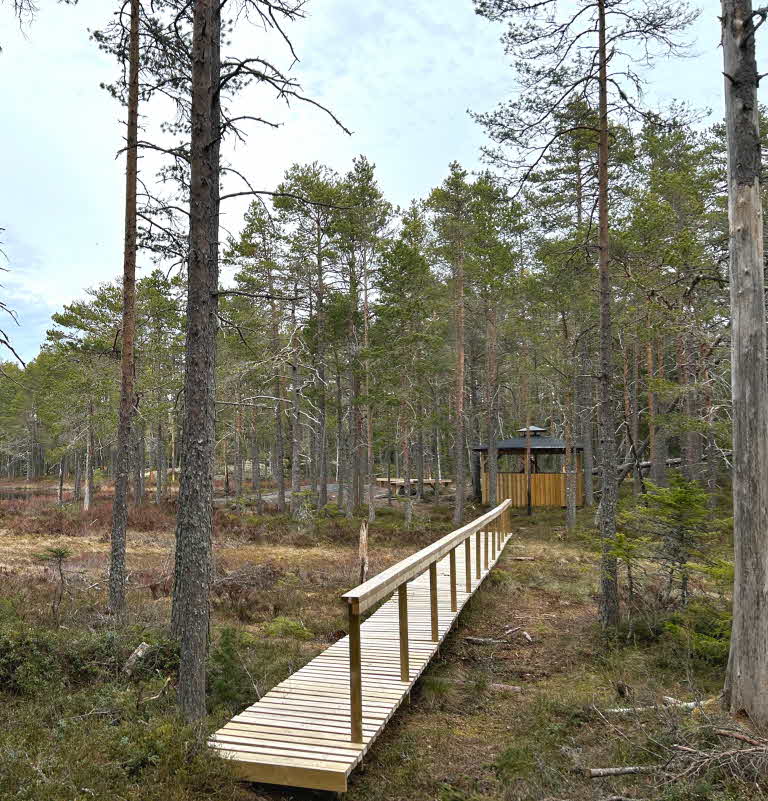 SCAs vindskydd vid Kusttjärnen