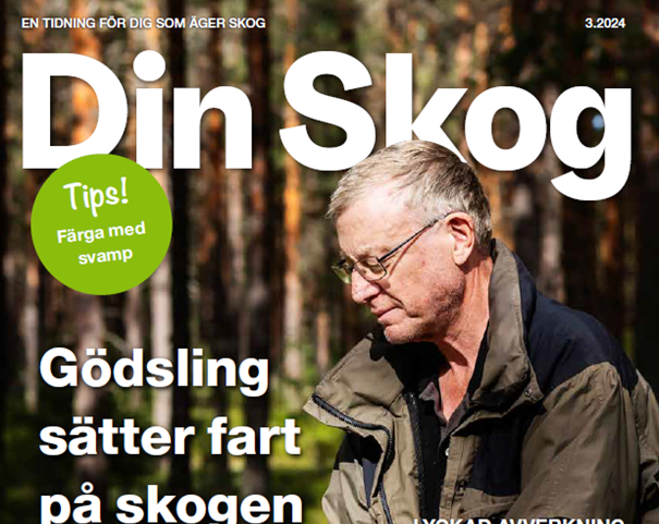 Omslag Din Skog nr 3 2024