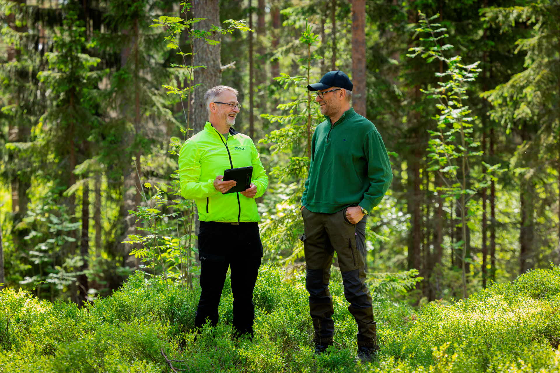 Virkesköpare i skogen