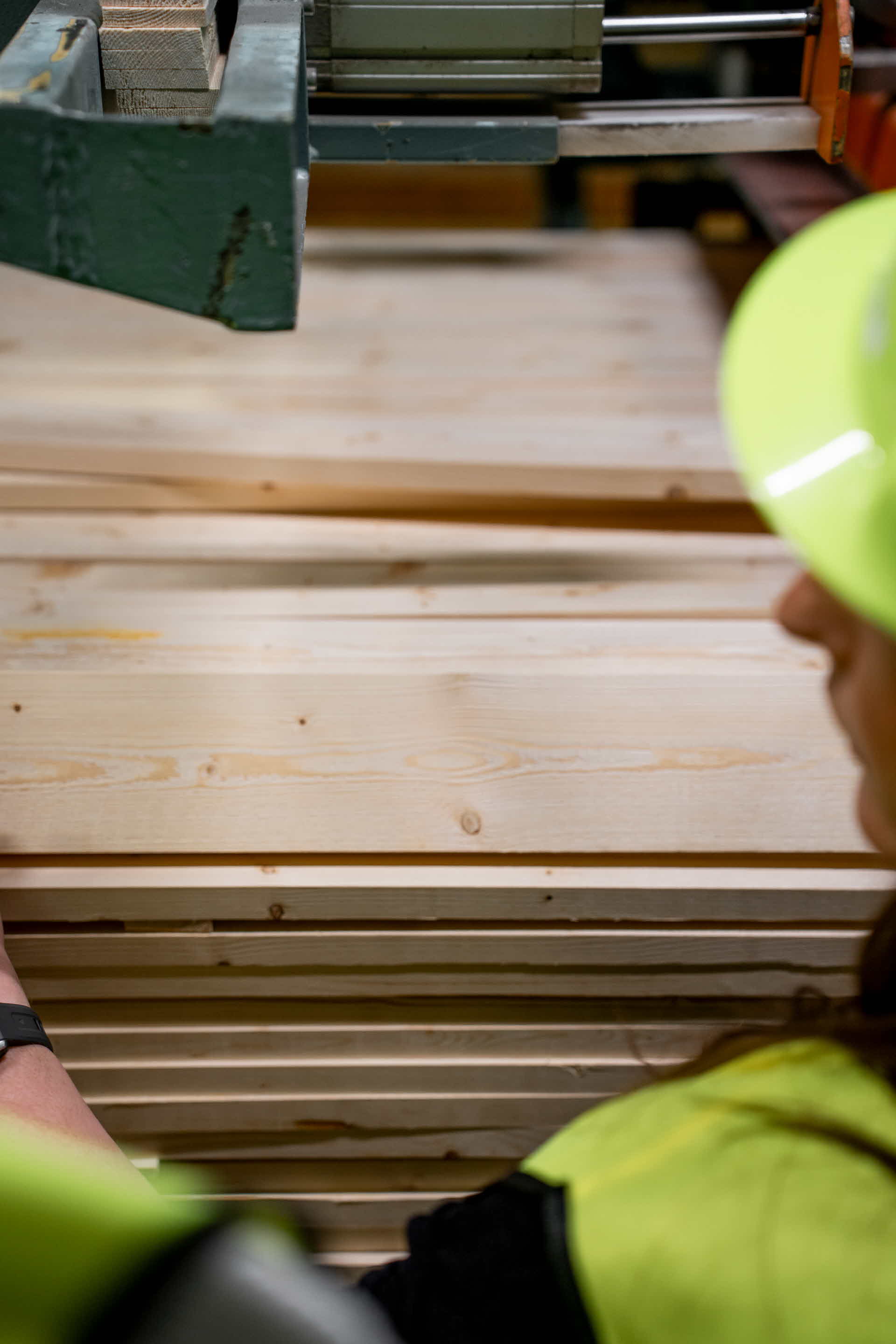People in front of a timber stack