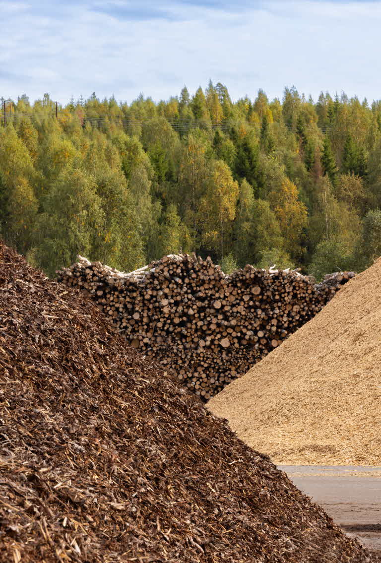 Forest by-products. Bark and sawdust