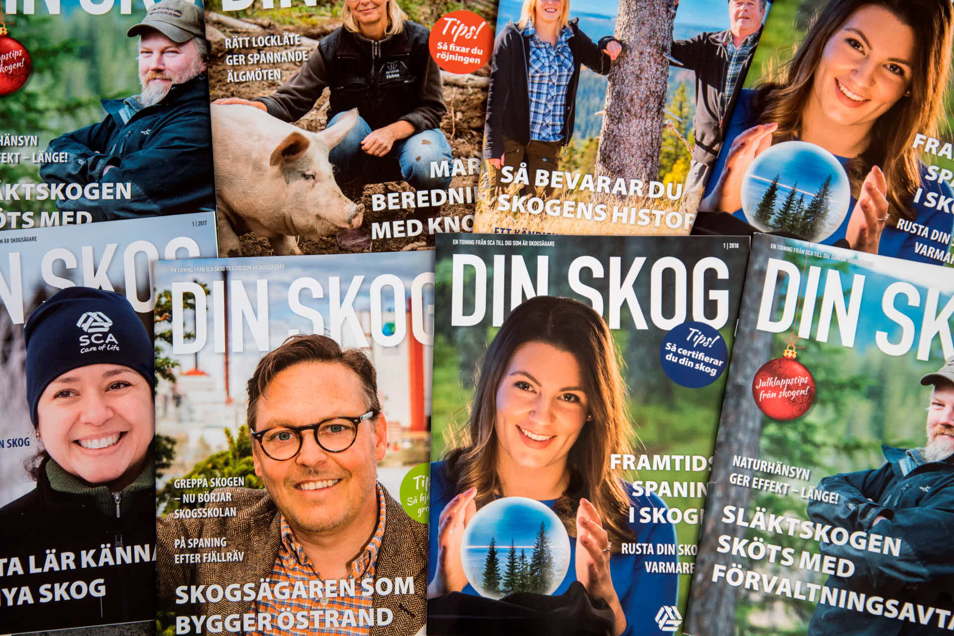 Tidningen Din Skog