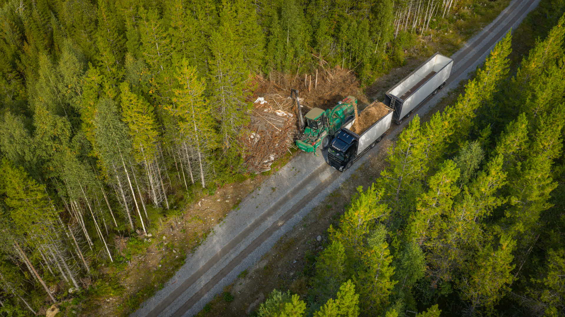 Flisning i skogen