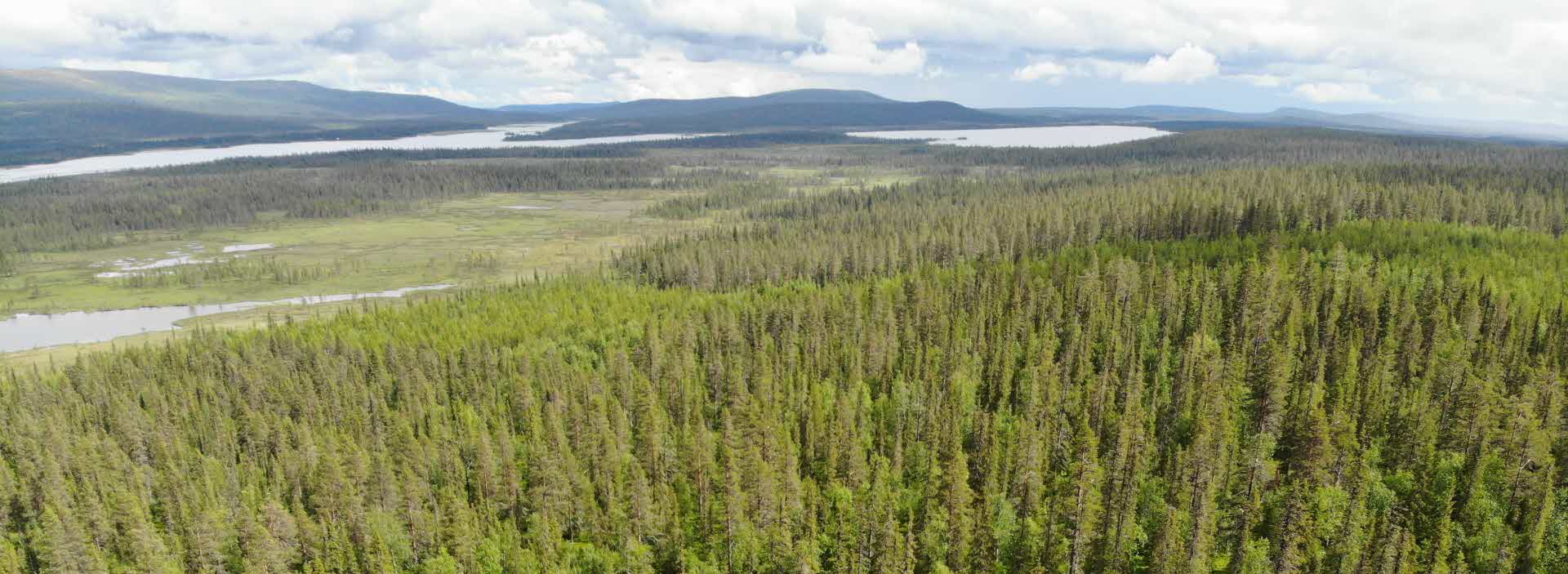 Vy över Nietsak-Peltovaara