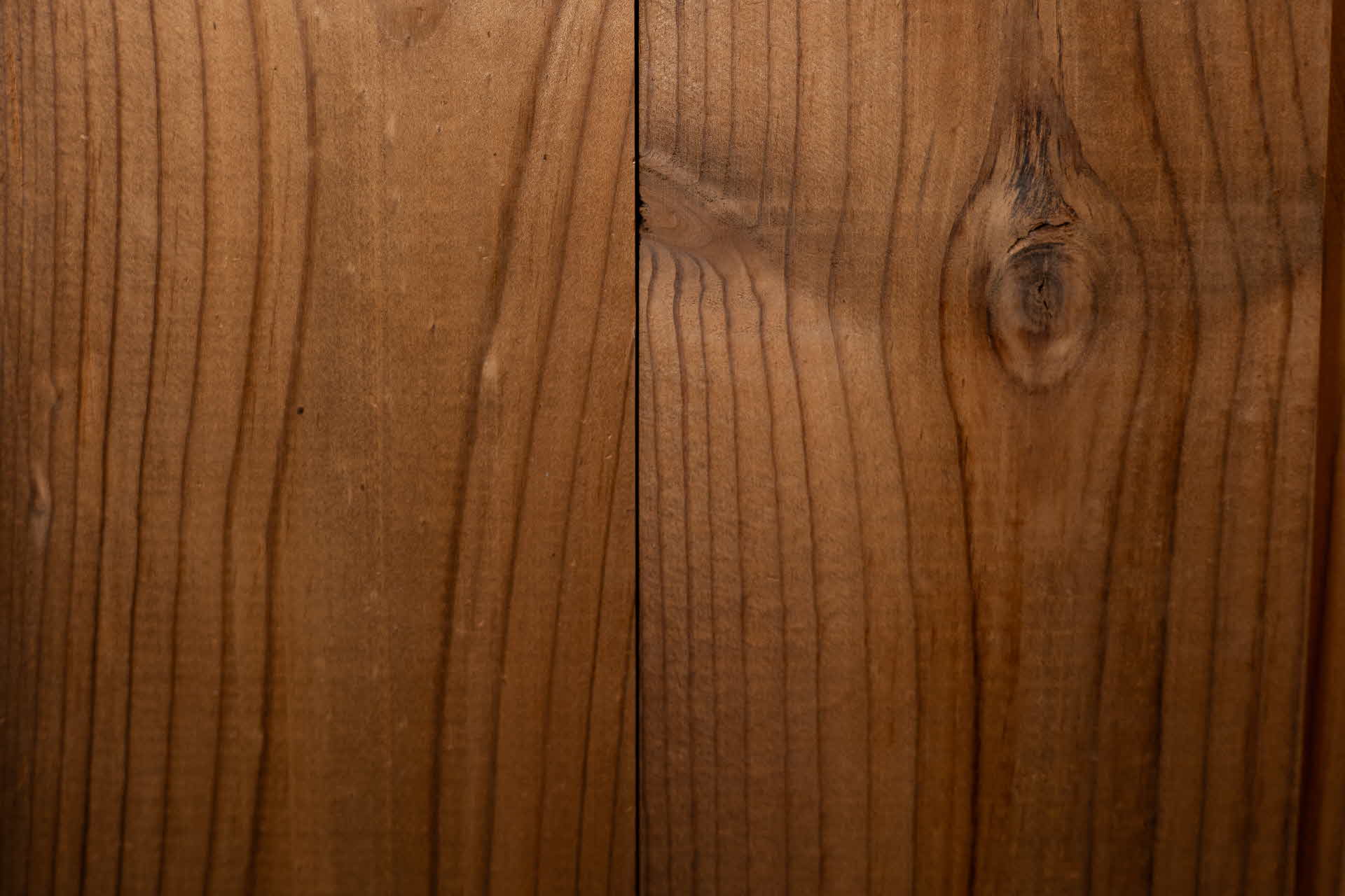 Close-up on a heat-treated Lodgepole Pine.
