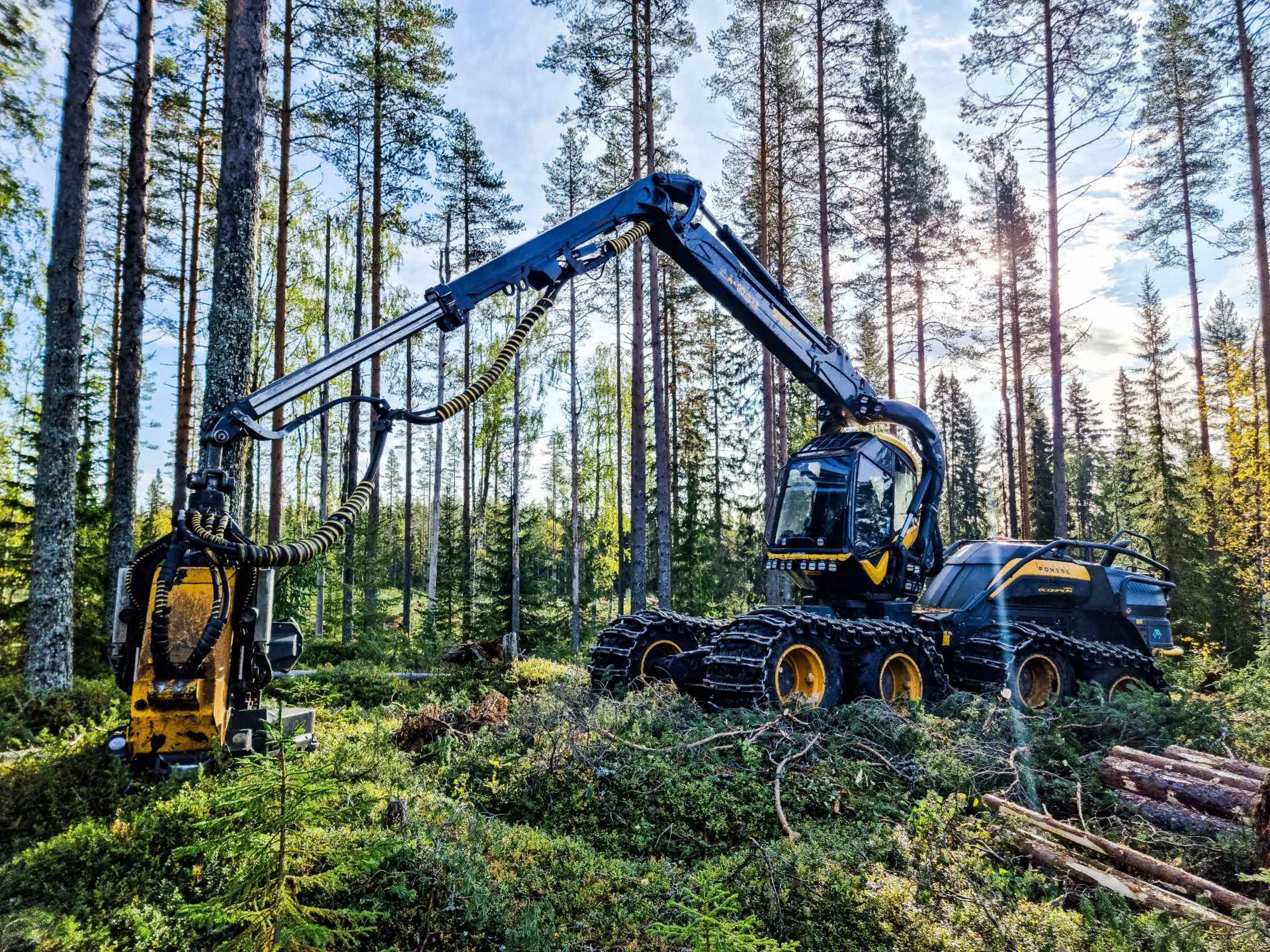 Skördare i arbete på våren.