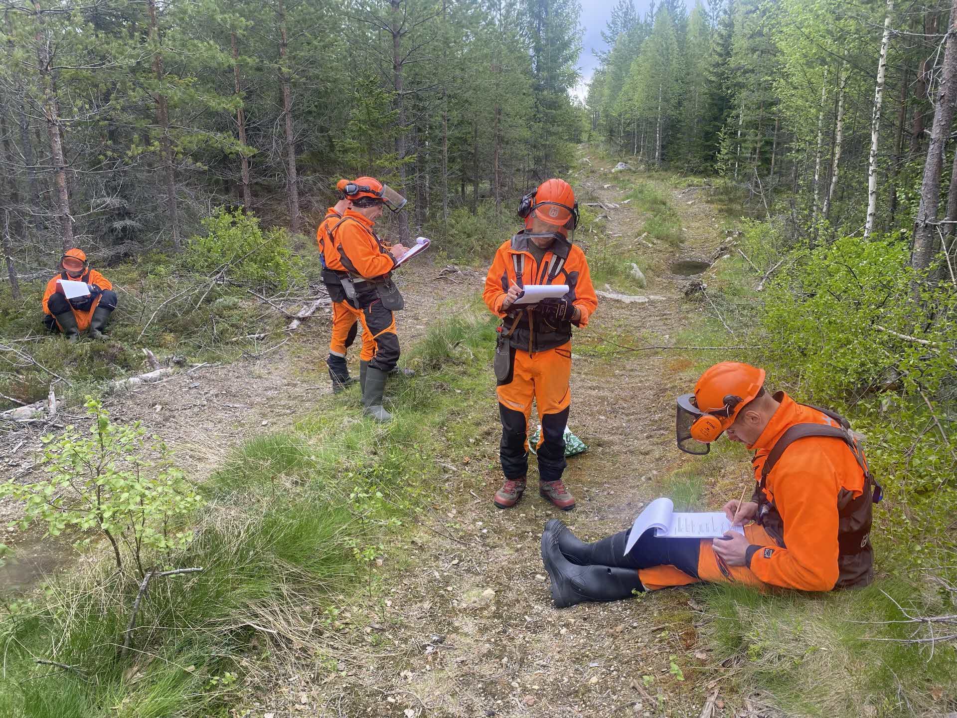 skosgvårdsanställda svarar på enkät