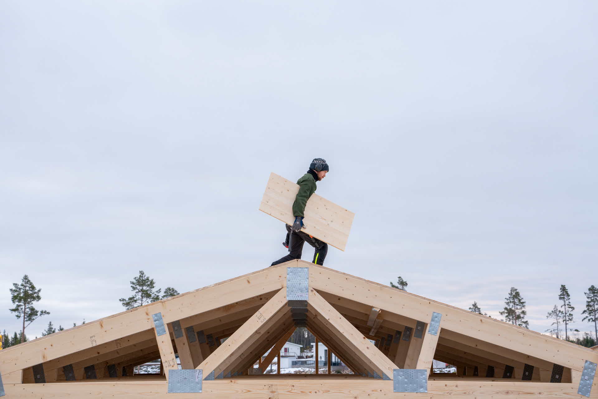 Sammensatt rupanel