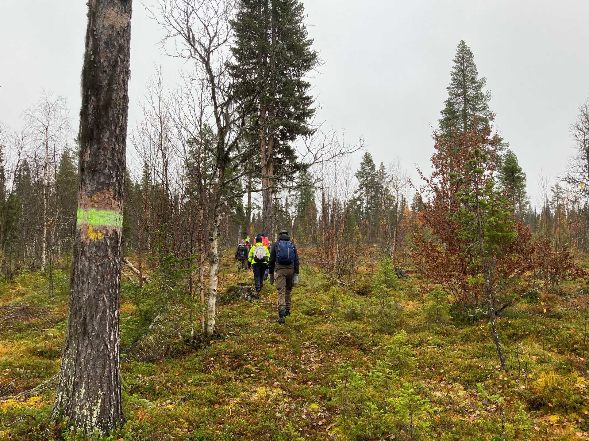 Årsmöte i Nietsak-Peltovaara mångfaldpark 