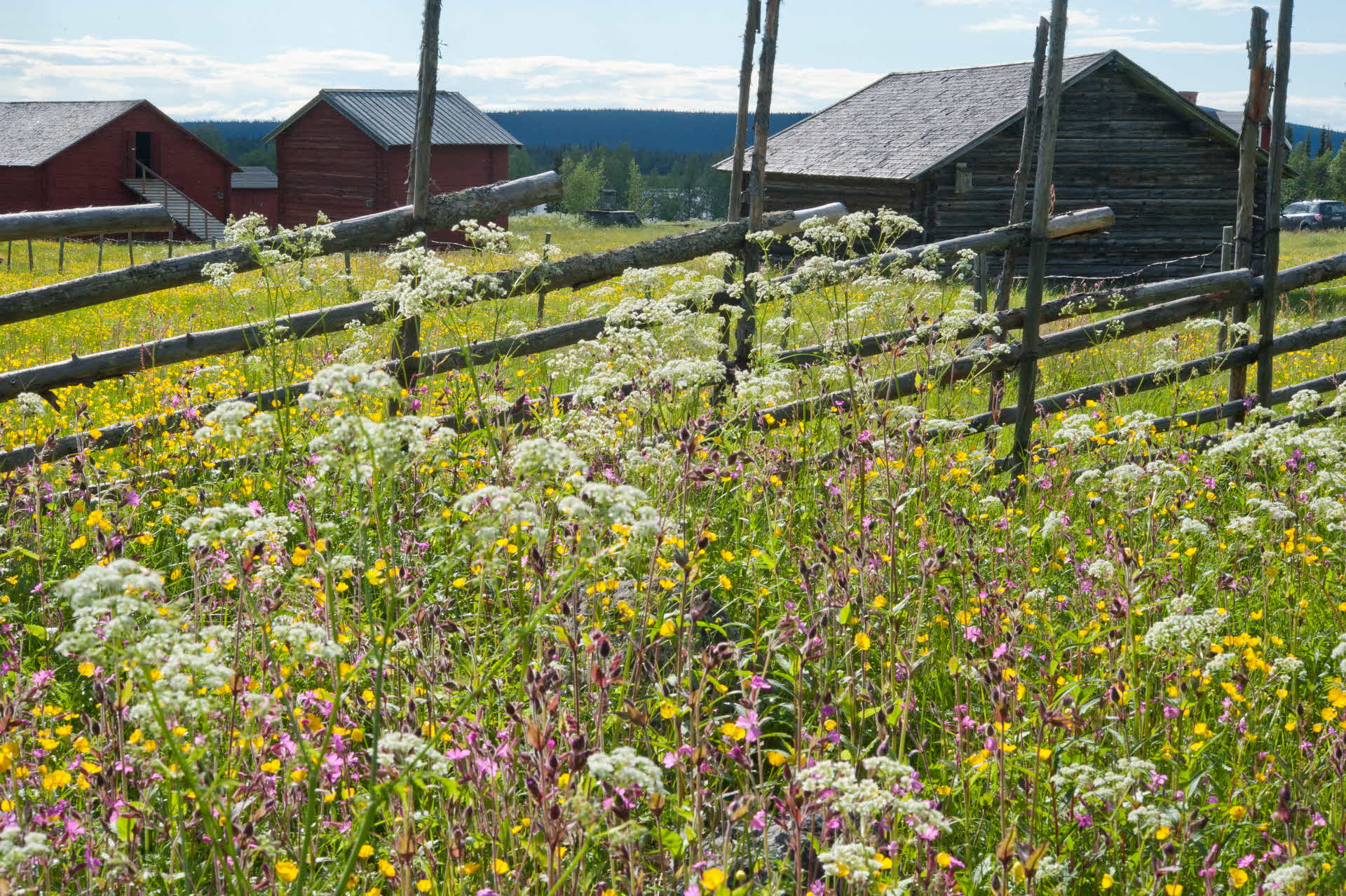 Nietsak-Peltovaara mångfaldspark.