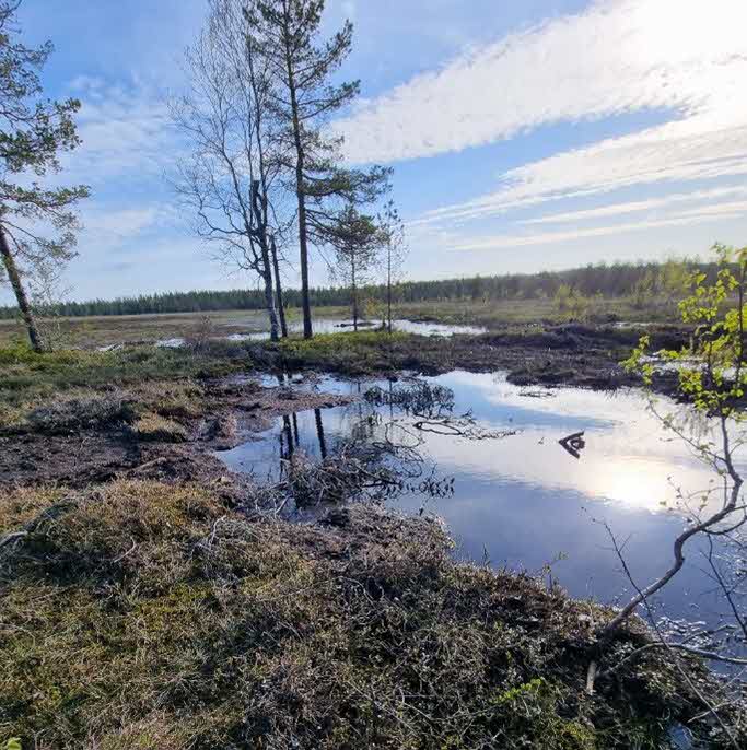 Water on Stentjärnsmyren