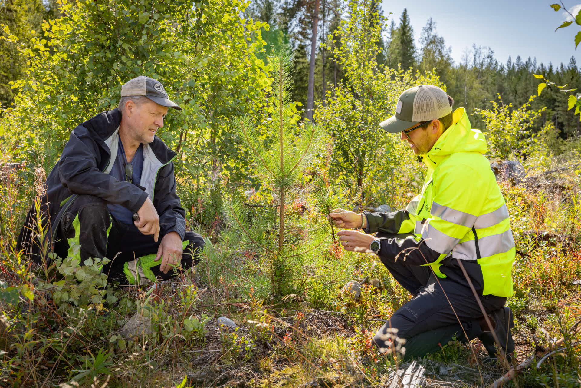 Thomas och Andreas inspekterar tillväxten på plantorna