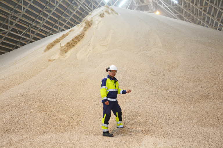 Produktionspersonal i pelletslager