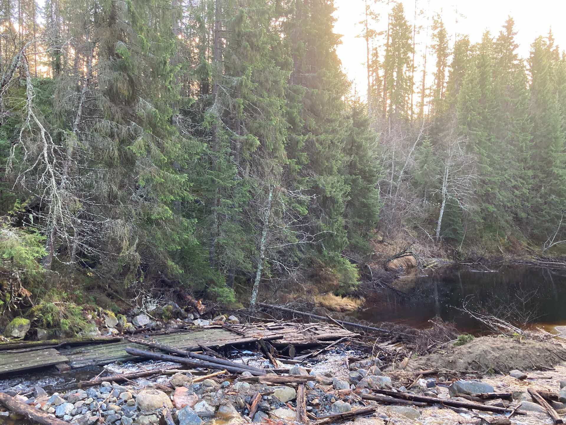 Sörgraninge mångfaldspark