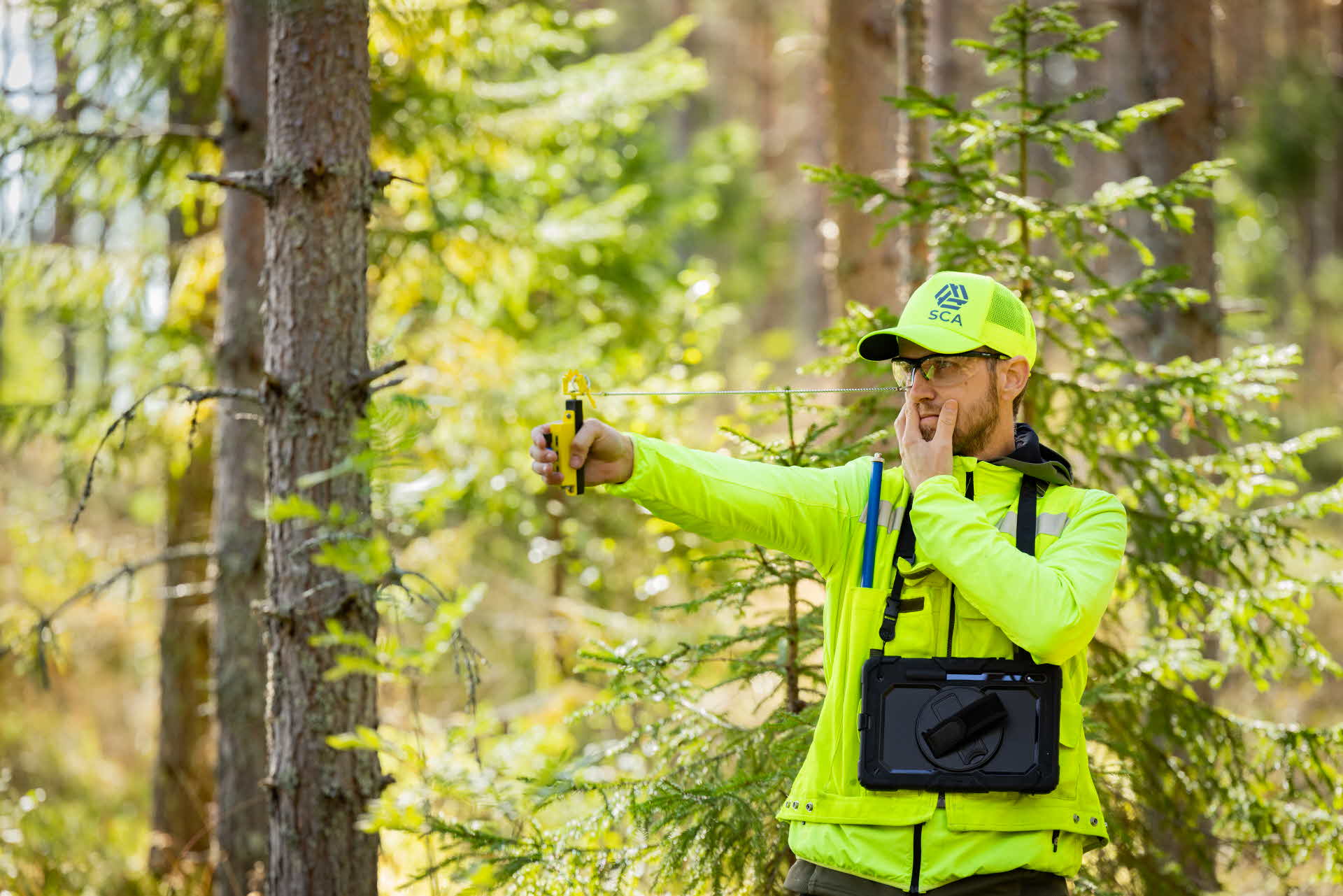 A site planner measuring the hight of a tree