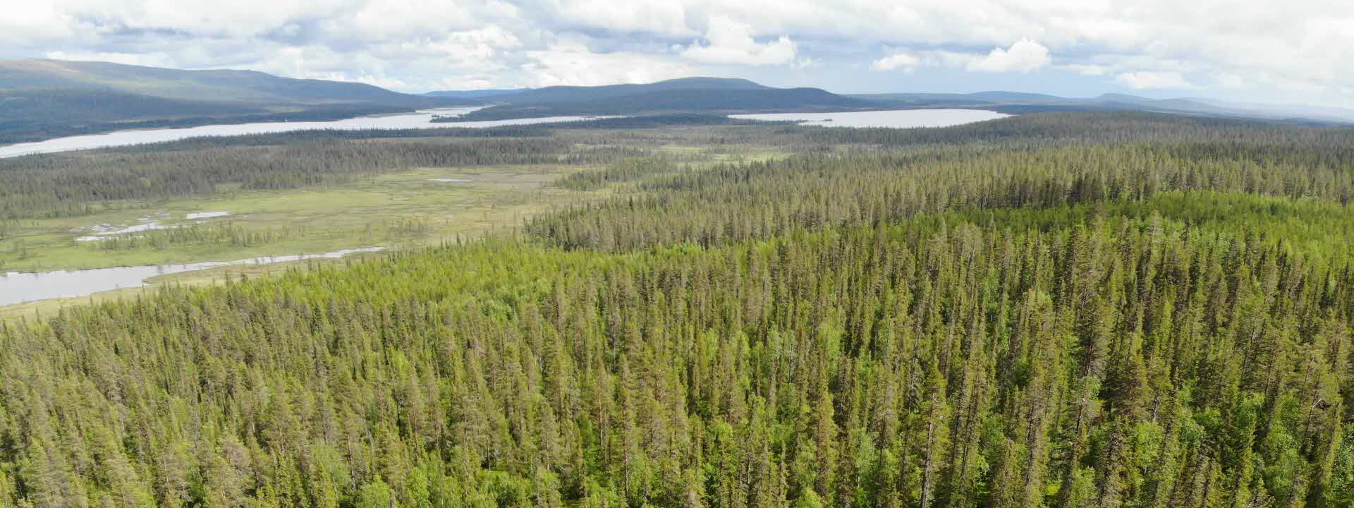 View over the park