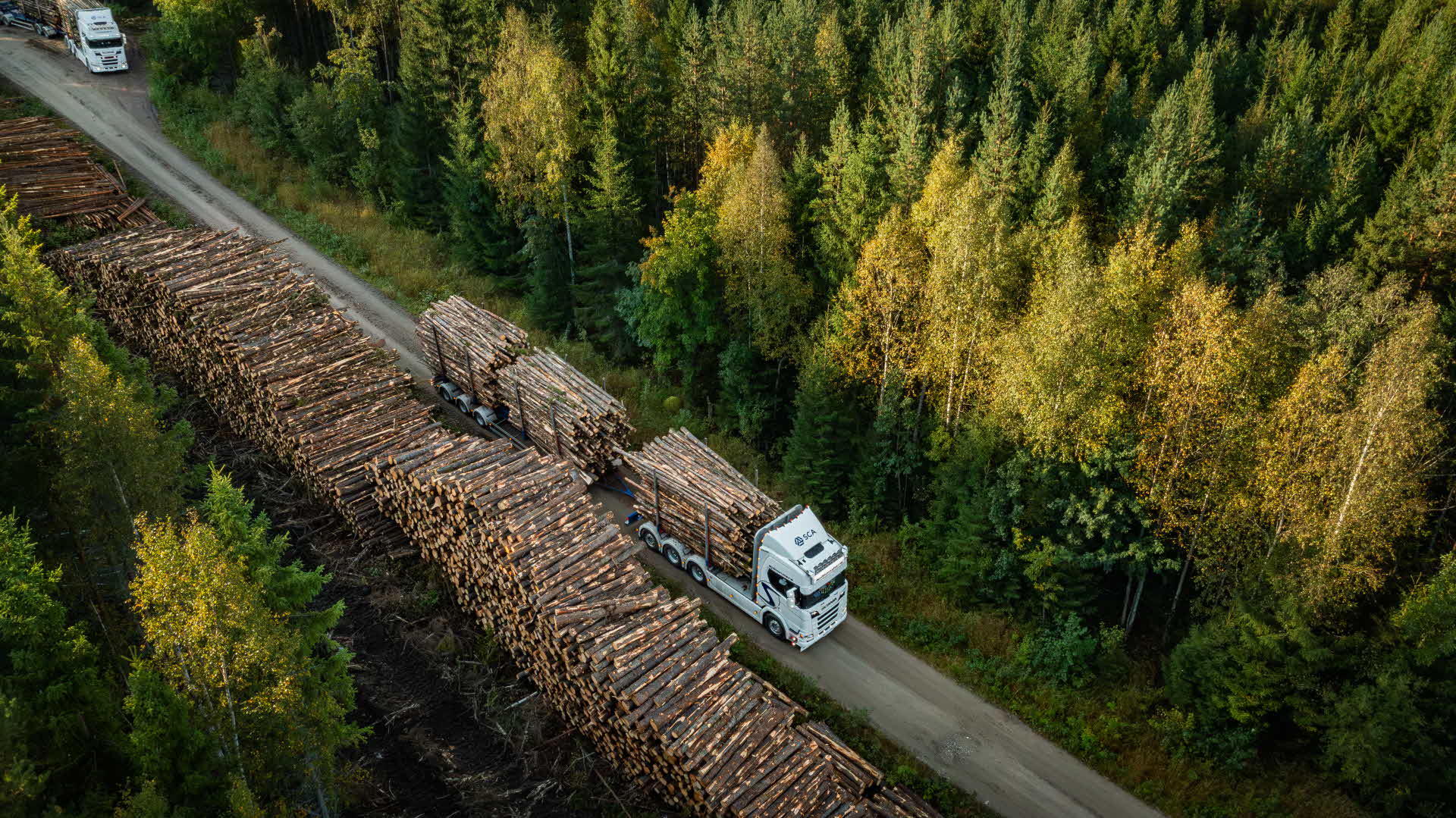Timmerbil vid ett avlägg i skogen.