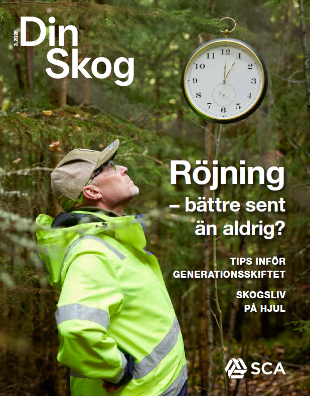 Omslagsbild Din Skog nr 3 2026
