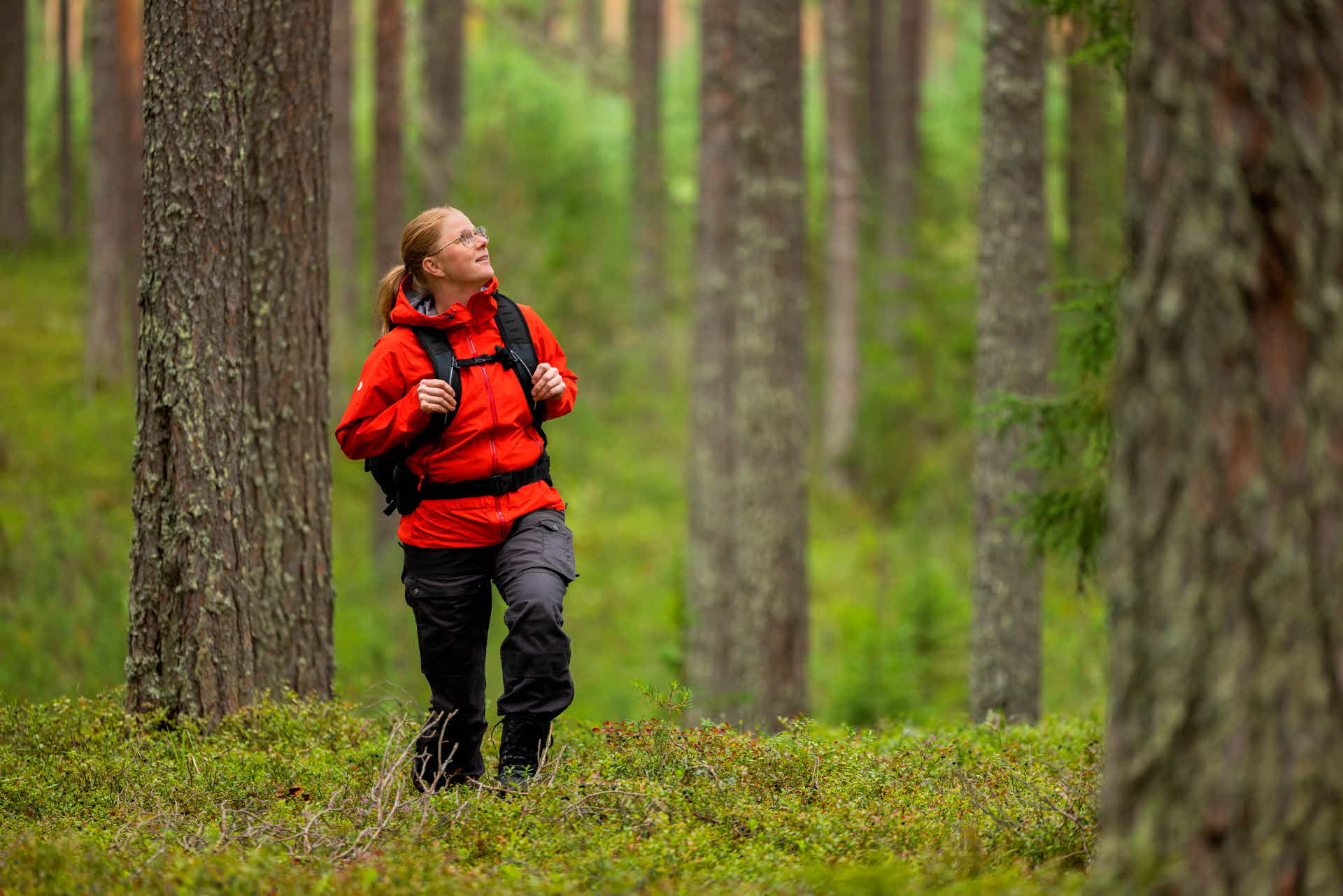 En kvinna promenerar i skogen.