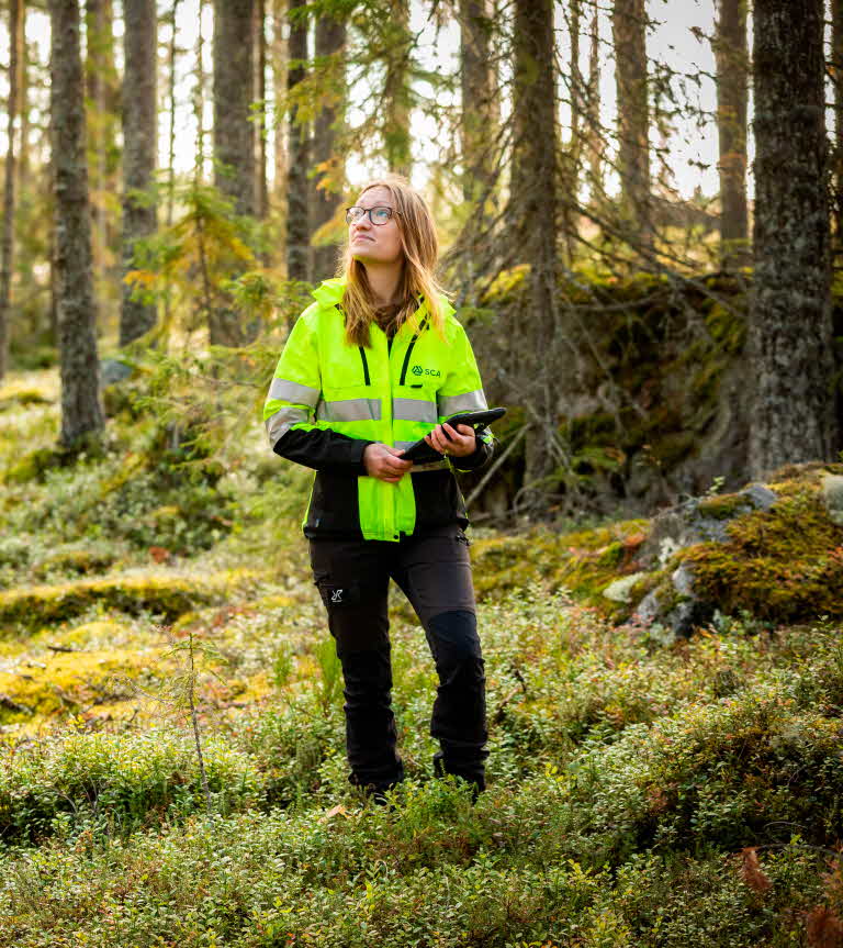 Planering i skogen