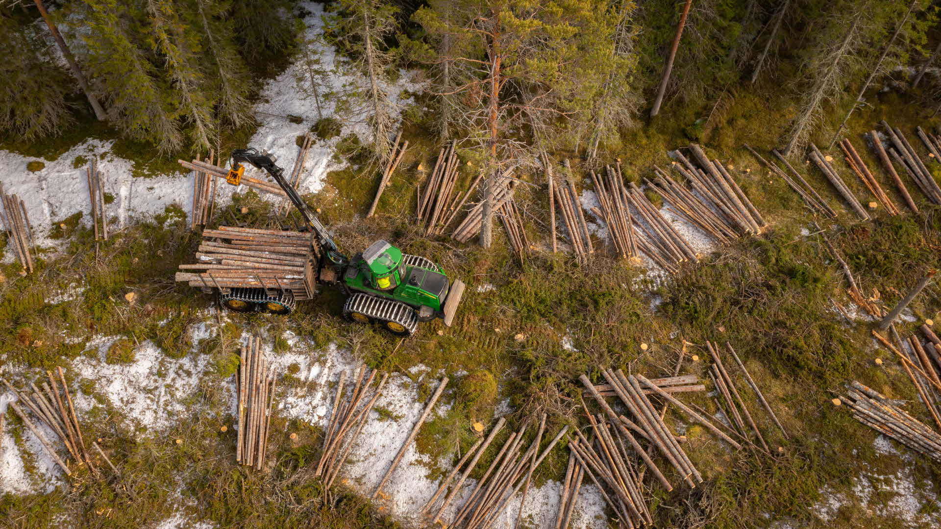 skotare lastar virke i skogen