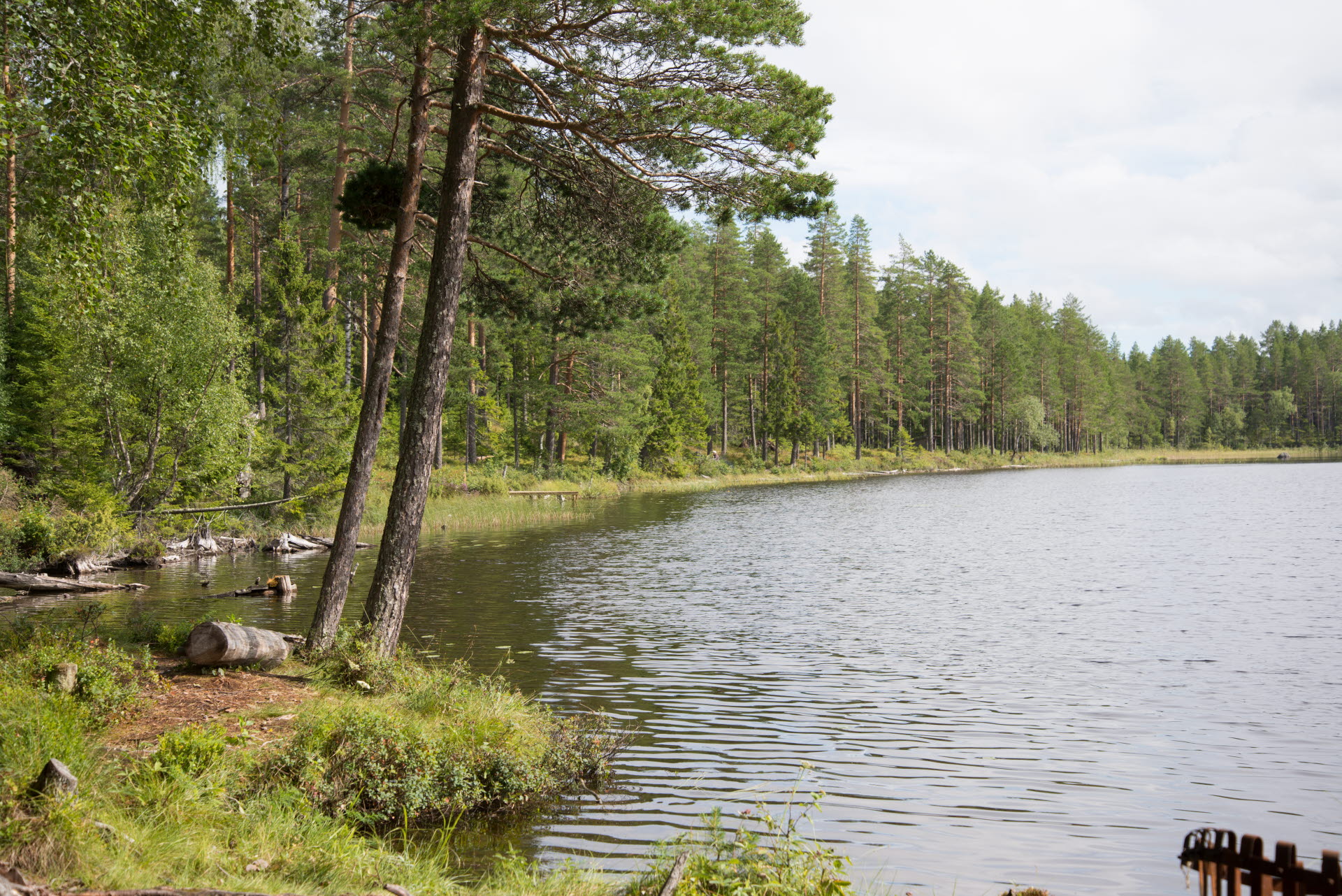 Bilden visar en naturcamping med bord, grillplats, några husvagnar och ett vindskjul