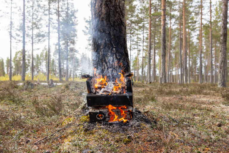 A portable fire