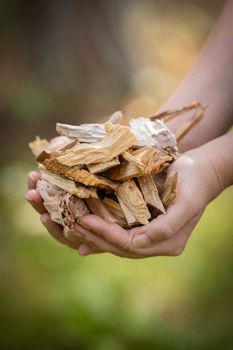 Wood fuel chips