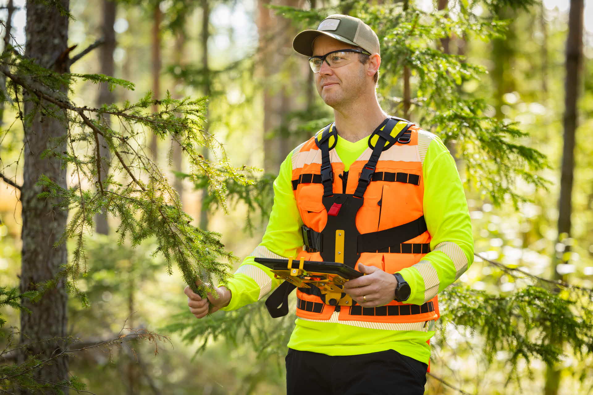 Traktplanerare i skogen