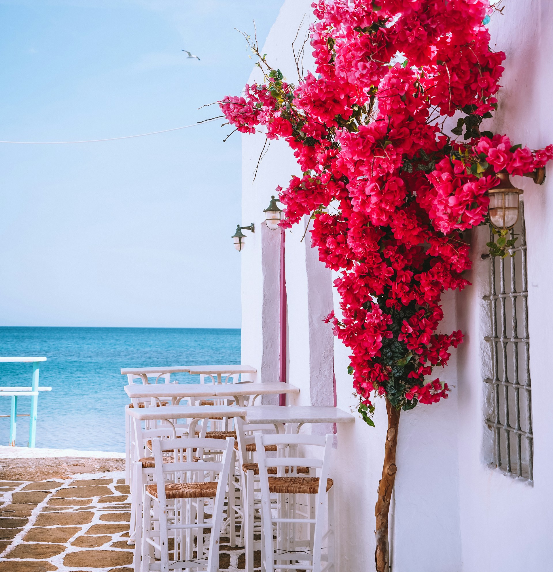 Uteservering vid havet med vita möbler och en rosa bougainvillea.