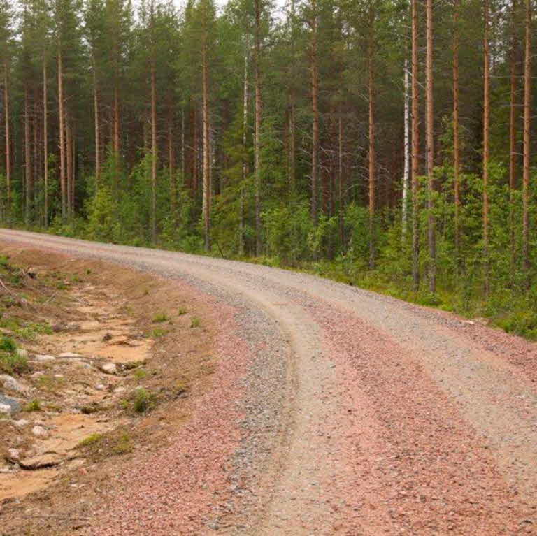 skogsbilväg