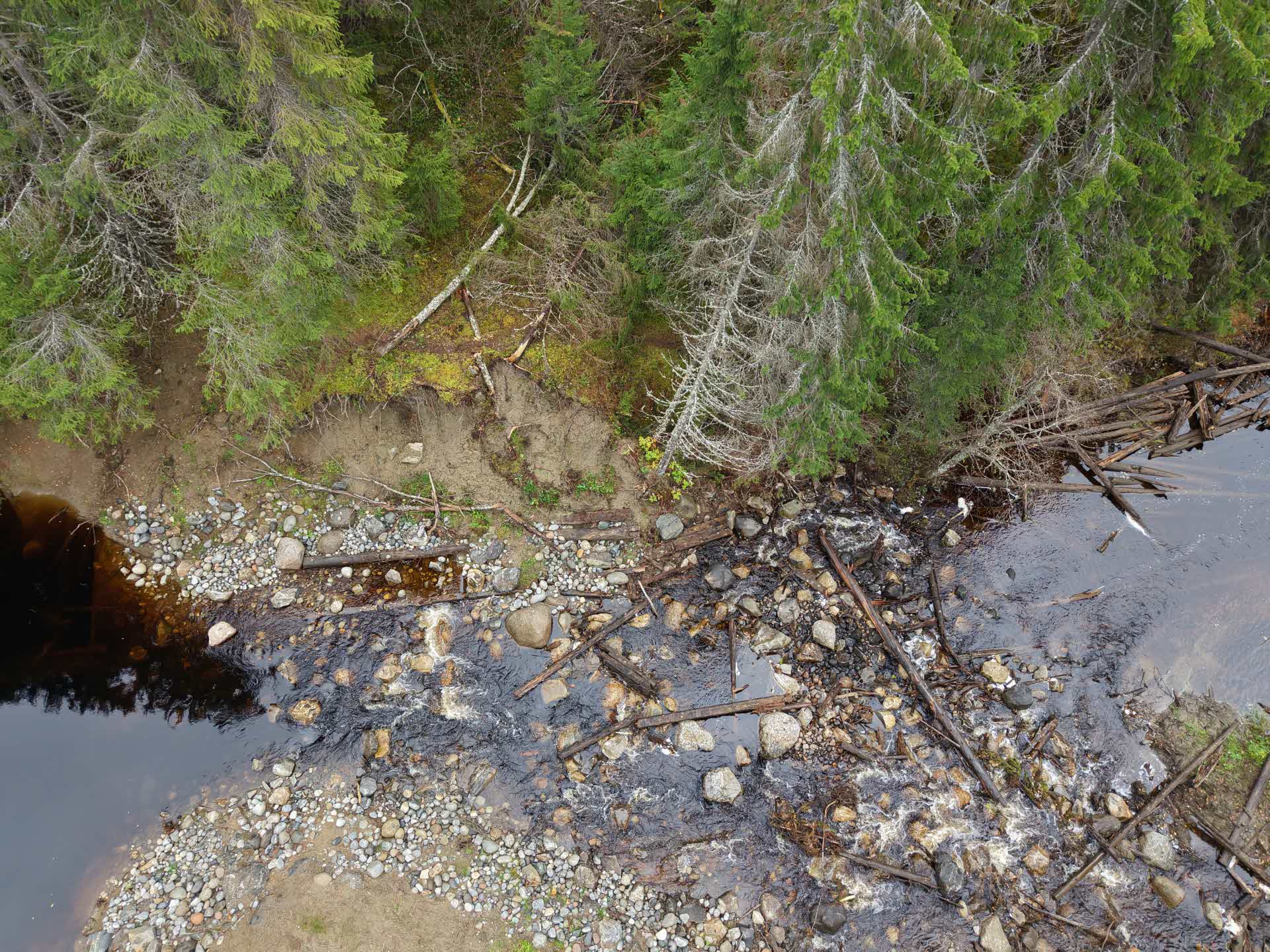 Höån sedd ovanifrån