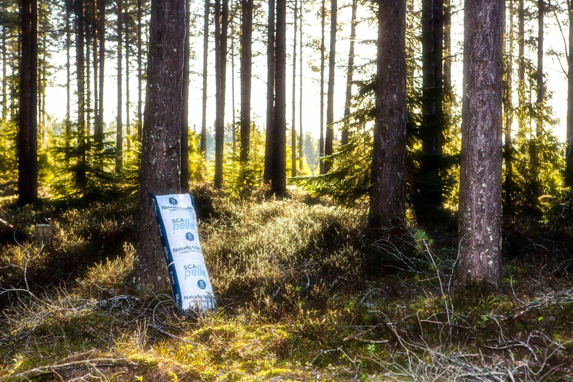 Pelletssäck i skogen