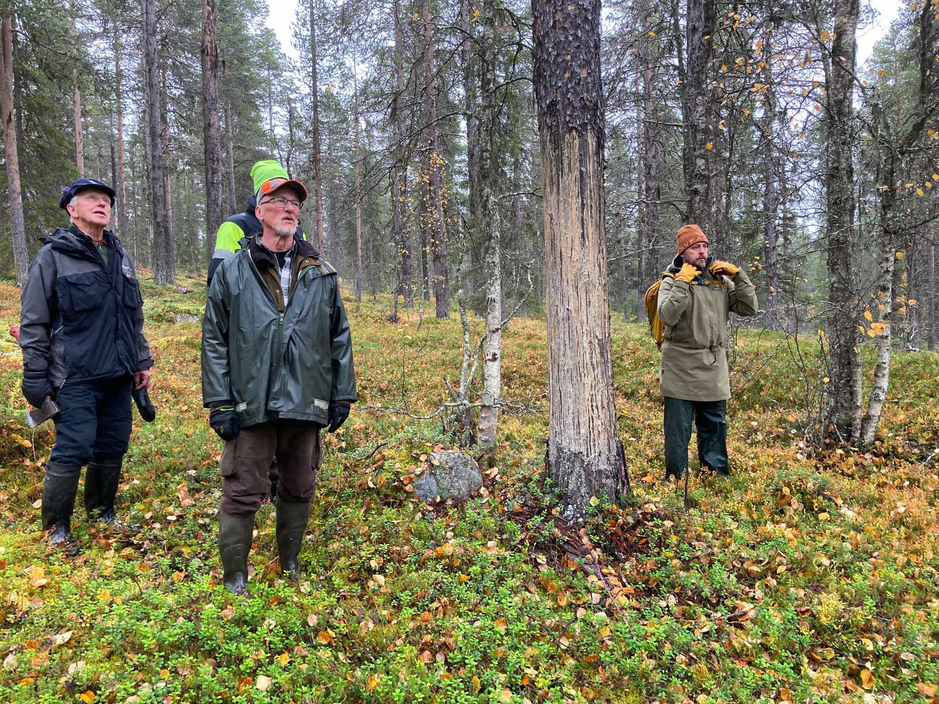 Årsmöte i Nietsak-Peltovaara mångfaldpark 