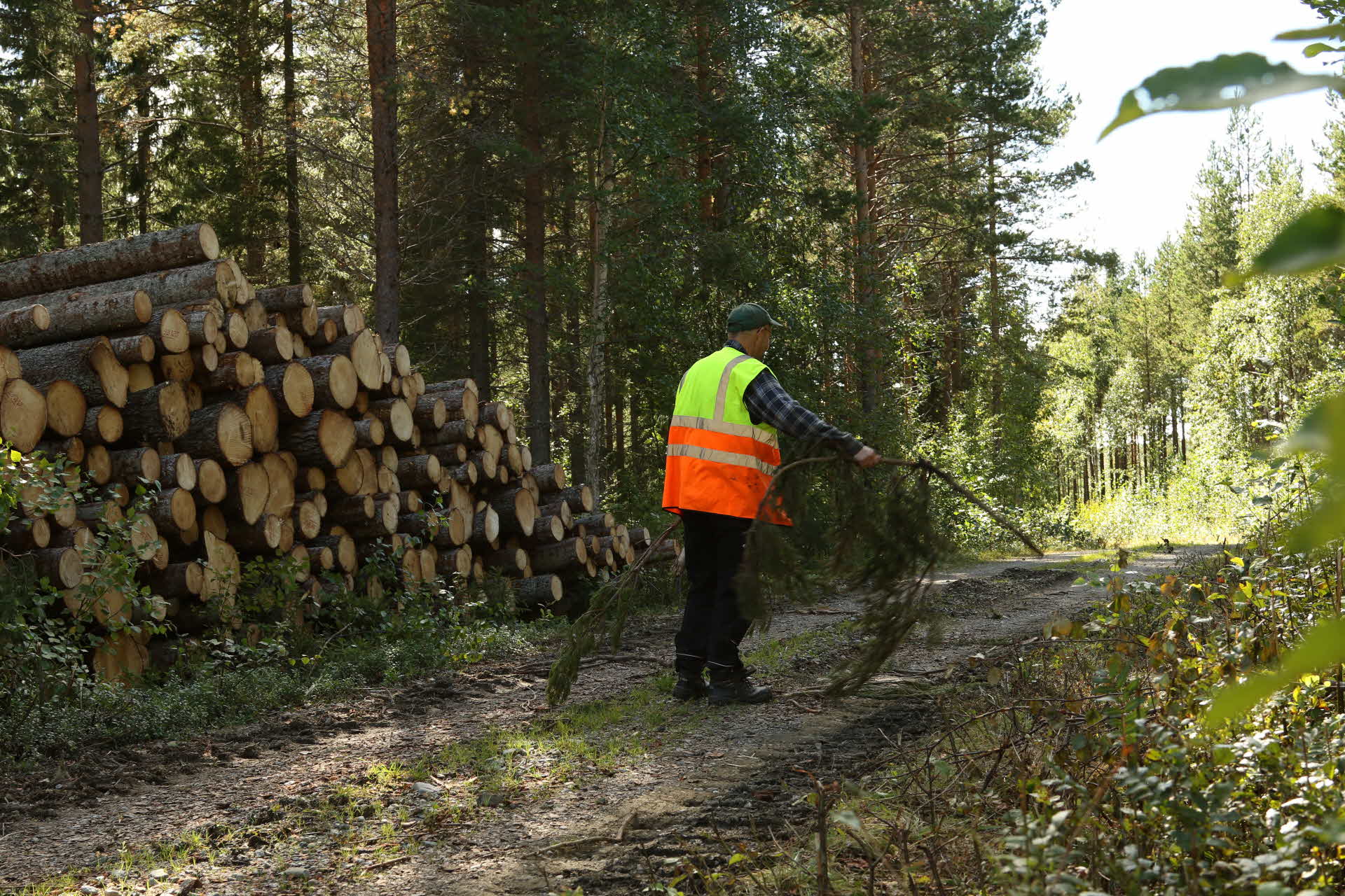 Städning av avlägget