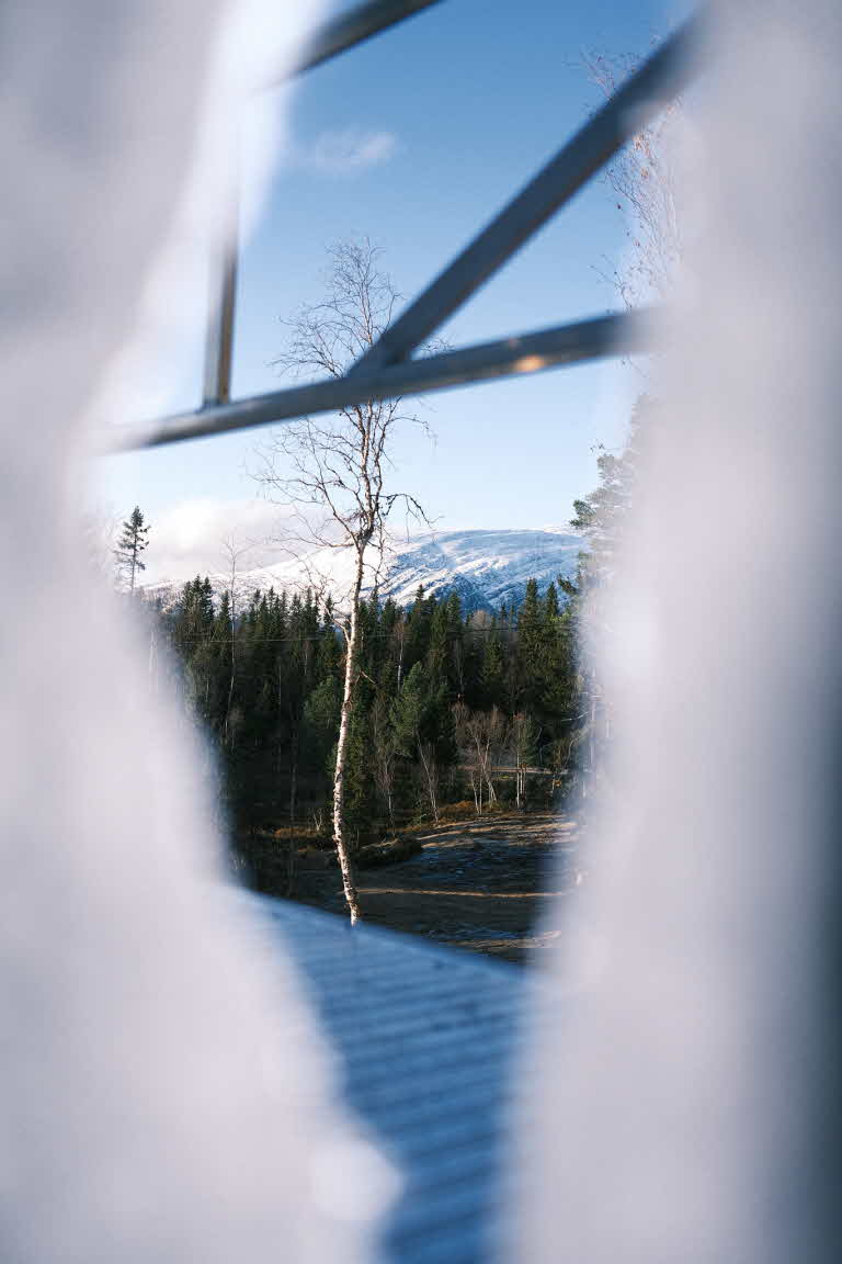 Utsikten från Fjället Cabin