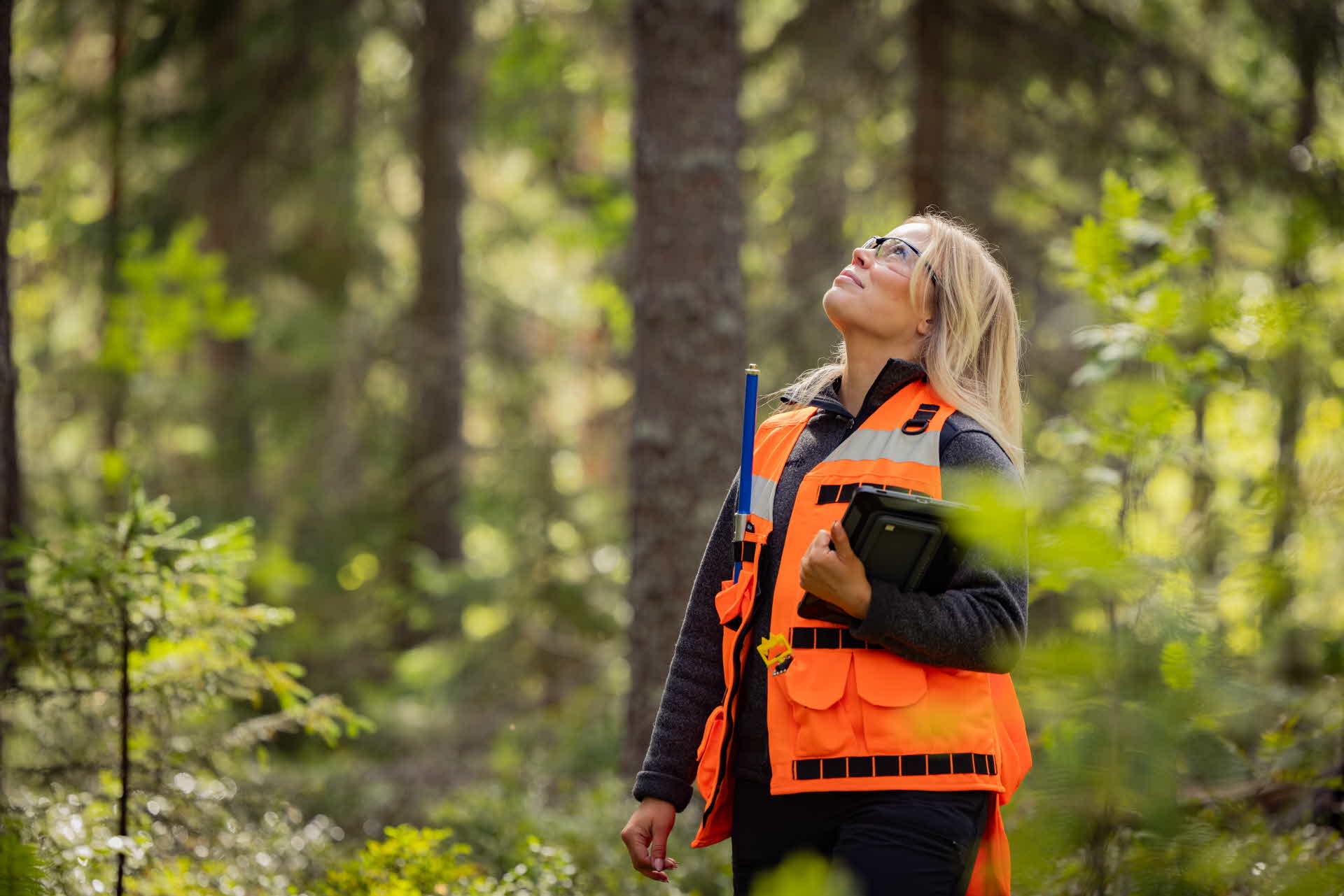 skogsbruksplanläggare