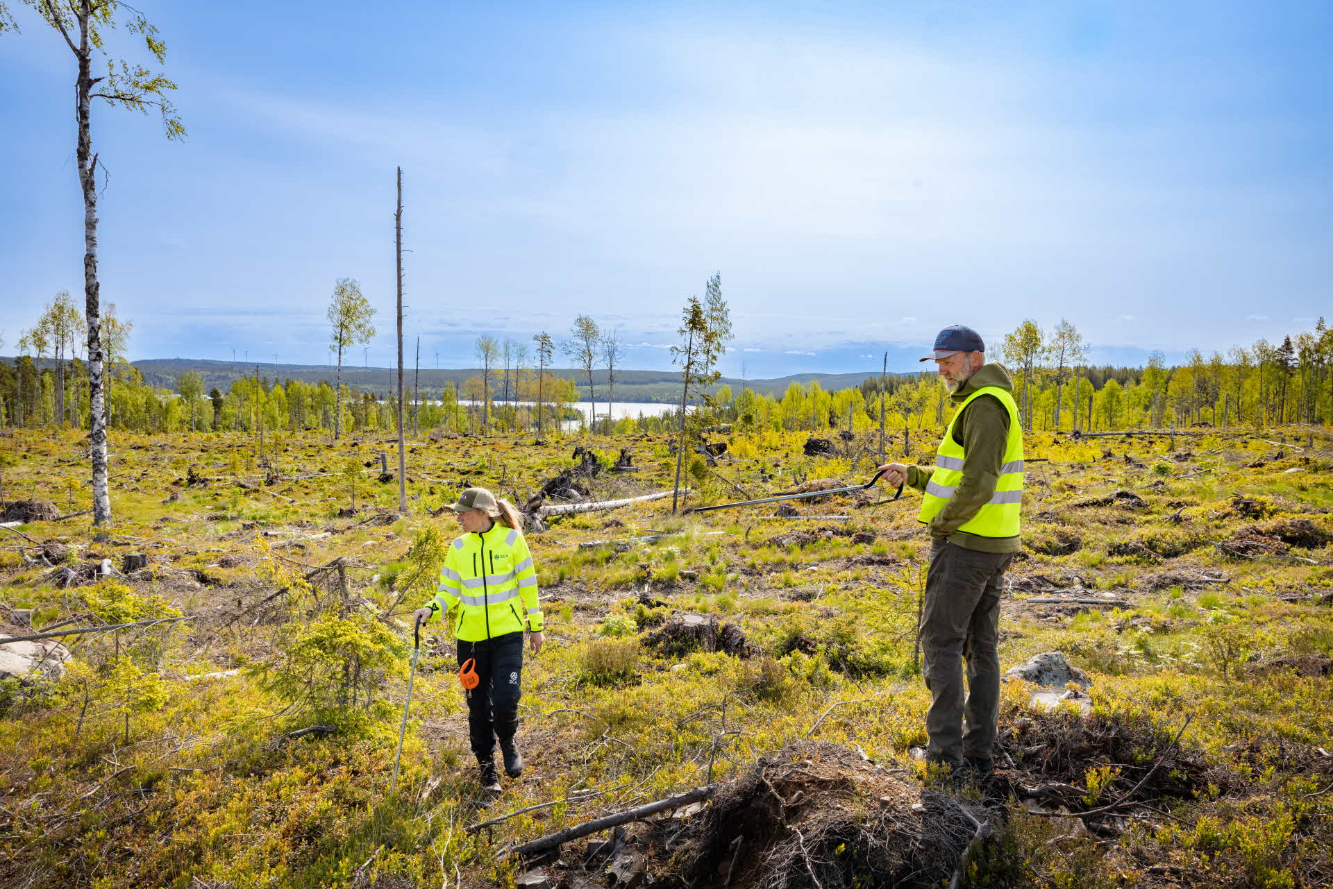 SCA medarbetare utför en tillväxtkontroll av plantor