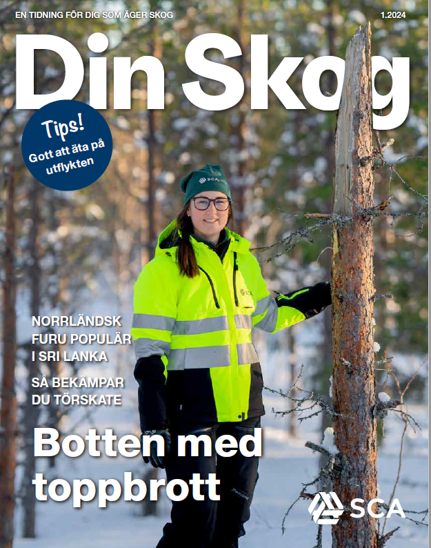 Din Skog nr 1 2024