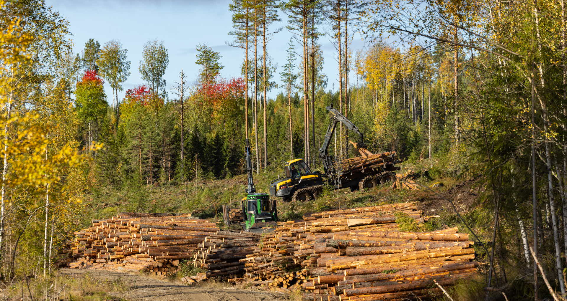 skogsmaskin i skogen