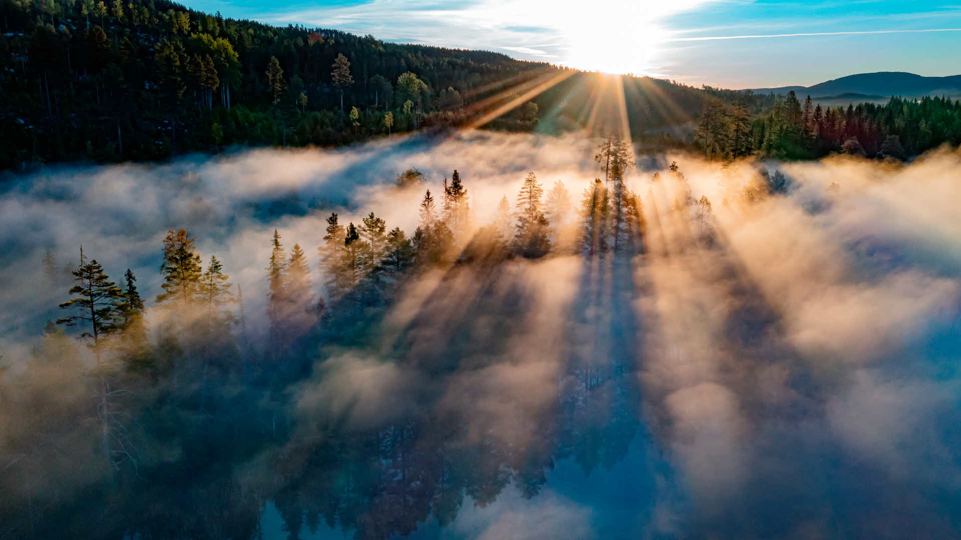 En drönarbild över en skog i dimma.