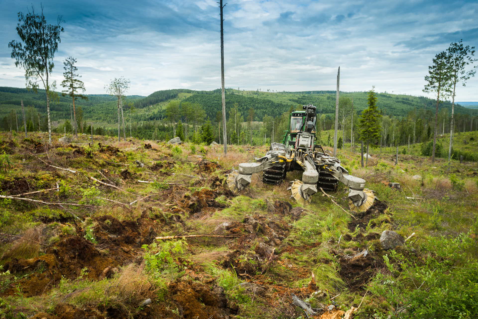 Markberedning på ett hygge