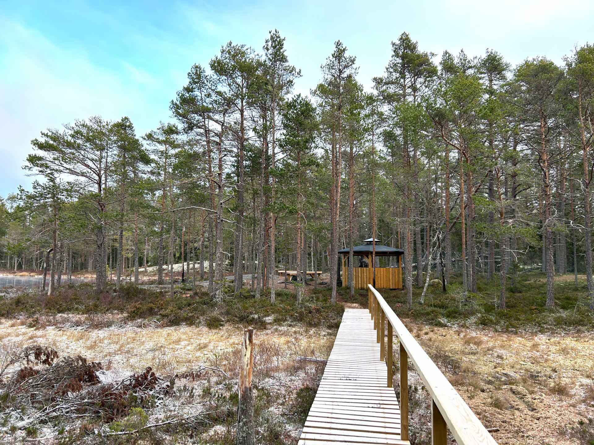 vindskydd vid Kusttjärnen