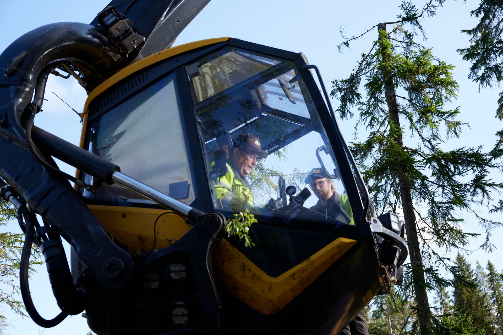 Forestry contractors and a harvester.