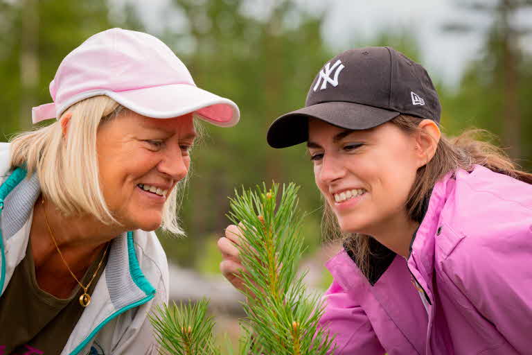 Mamma och dotter inspekterar en tallplanta.