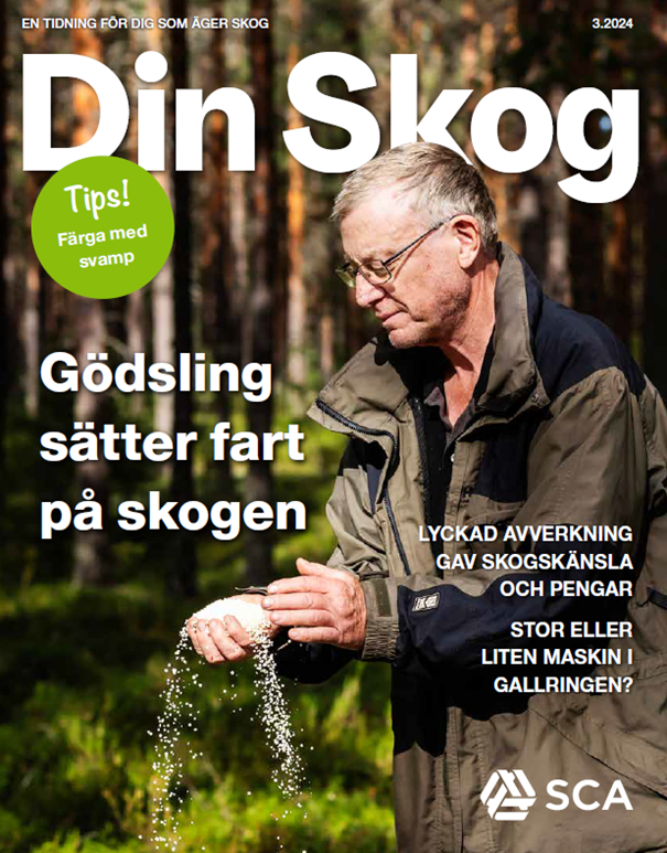 din skog