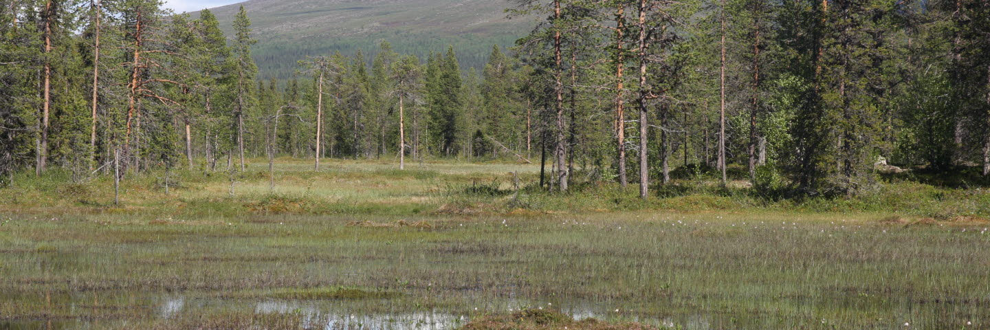 Peltovaara mångfaldspark
