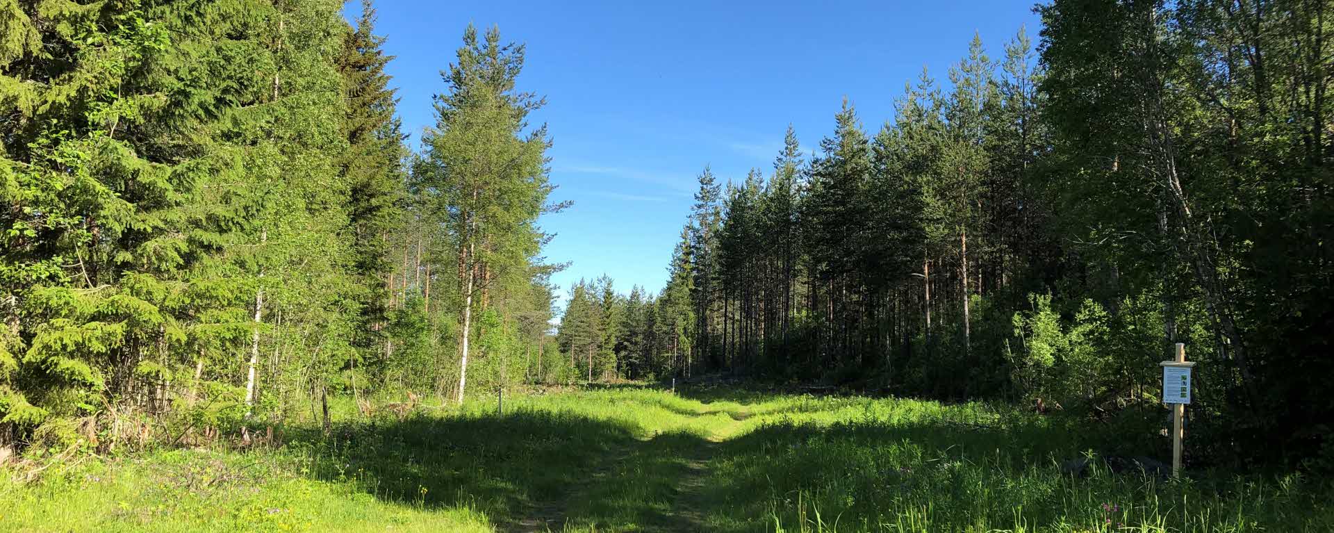 Vy över Jämtkrogens fjärilslandskap