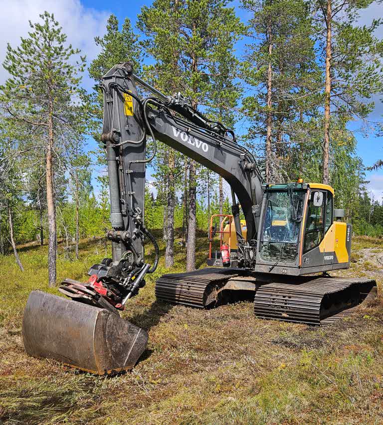 Grämaskin med breda larvband